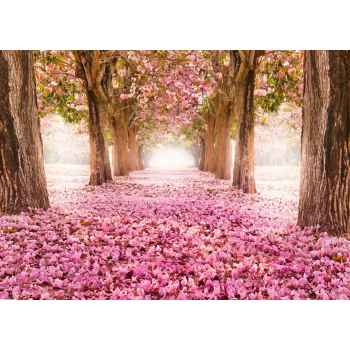 Ρομαντικό μονοπάτι με ροζ λουλούδια