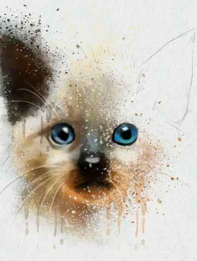 Αφηρημένο πορτρέτο γάτας