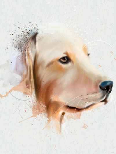 Πορτρέτο σκύλου