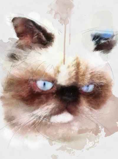 Αφηρημένο πορτέτο γάτας Siamese